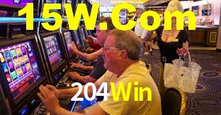 204Win App Interface